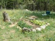 dead_end_garden