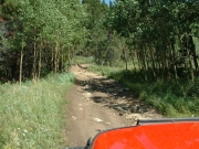 just_before_the_cabins