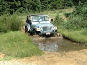mike_in_muddy_water
