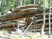 old_cabins_part_1