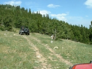 tim_in_a_meadow