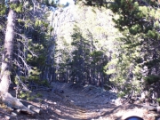cool_trail