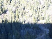 distant_road