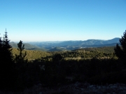 see_for_miles