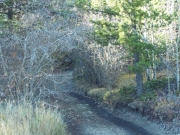 trailhead