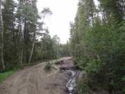 ditches