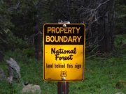 forest_boundary_sign