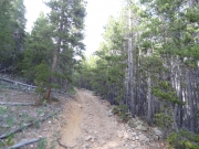 fun_climb