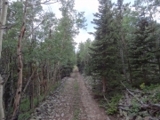little-used_spur