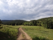 meadow