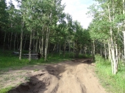 previously_muddy