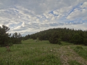secluded