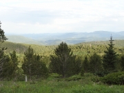 see_for_miles