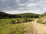 trail_with_a_view