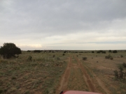 dirt_track