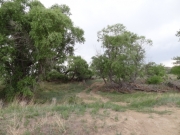 dry_creek_crossing