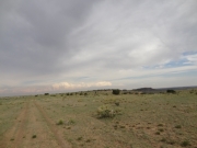 open_spaces