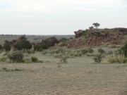 rock_outcropping
