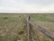 state_line