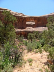 picture_frame_arch