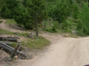 early_trail