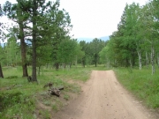 mellow_trail