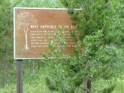 sign_about_aspen_trees