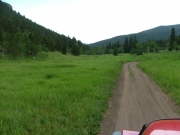 through_a_meadow