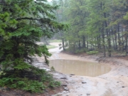 big_puddle