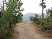 early_trail