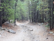 rocks