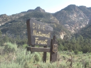 dixie_national_forest