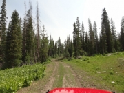 early_trail