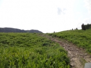 fun_climb