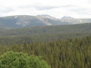 long_view