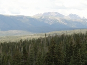 mountain_view