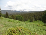 piney_ridge_part_1