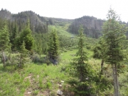 piney_ridge_part_6