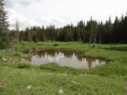 pond