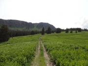 toward_piney_ridge