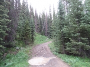 wet_trail
