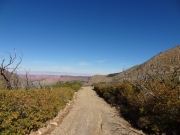 mellow_trail