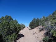 narrow