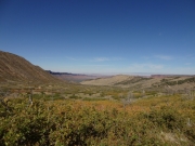 porcupine_rim