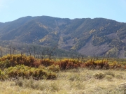 ridge