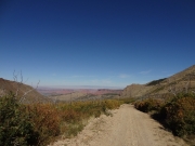 see_for_miles