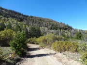 start_of_the_trail