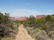trail_with_a_view