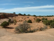 dave_in_the_sand