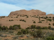 pig_rock